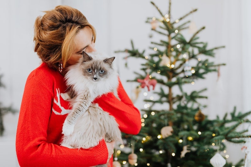 Vrouw die een kat knuffelt naast een kerstboom