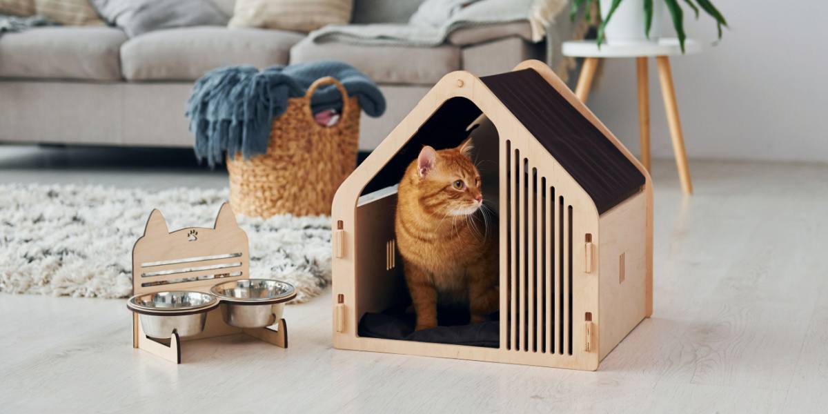15 tips om uw kat te helpen zich aan te passen aan uw huis