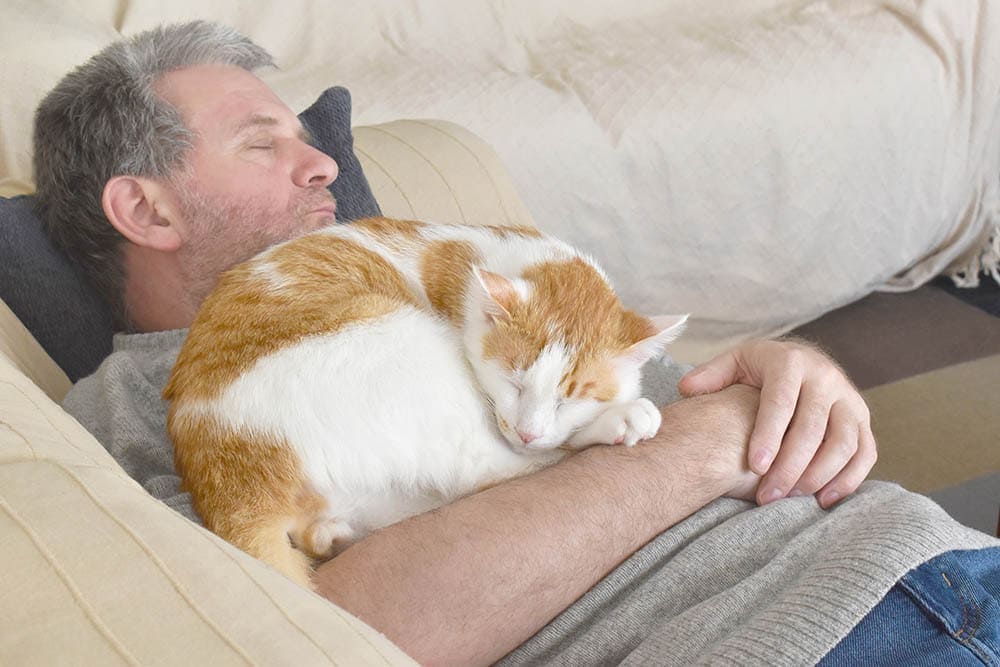 kat slaapt op de borst van zijn eigenaar