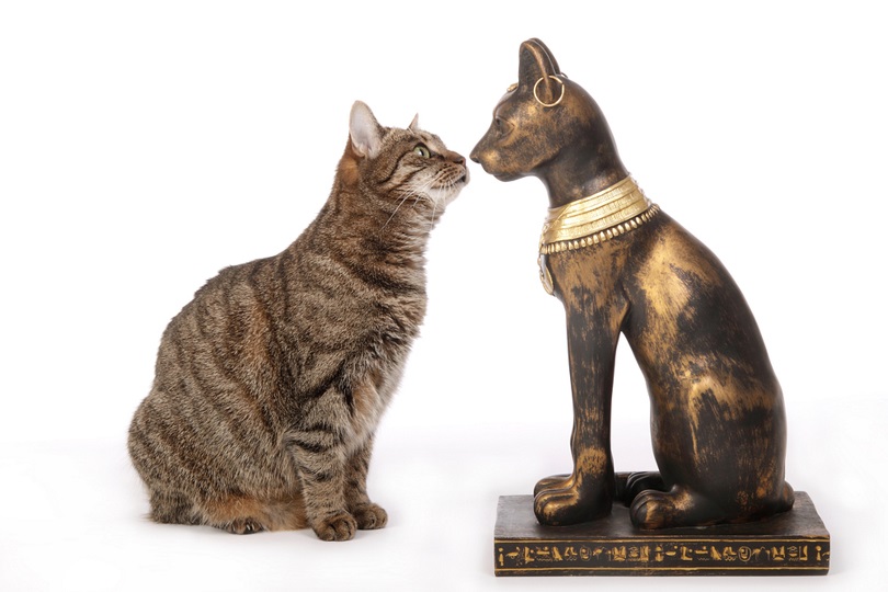 standbeeld van de Egyptische kattengodin Bastet