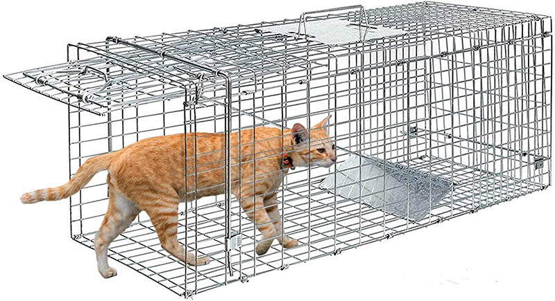 Humane Kattenval voor Zwerfkatten 24inch Levende Dierenval