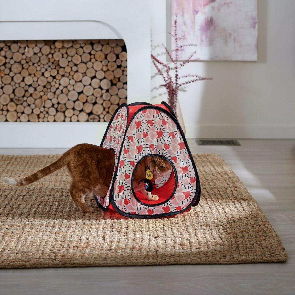 Frisco Valentine Love Bug Pop-Up Tent Kattenspeeltje met Kattenkruid