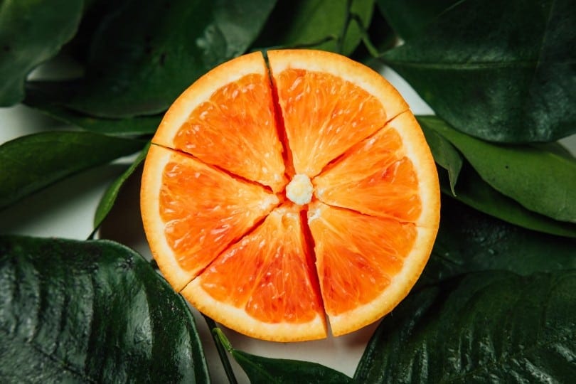 gesneden sinaasappel