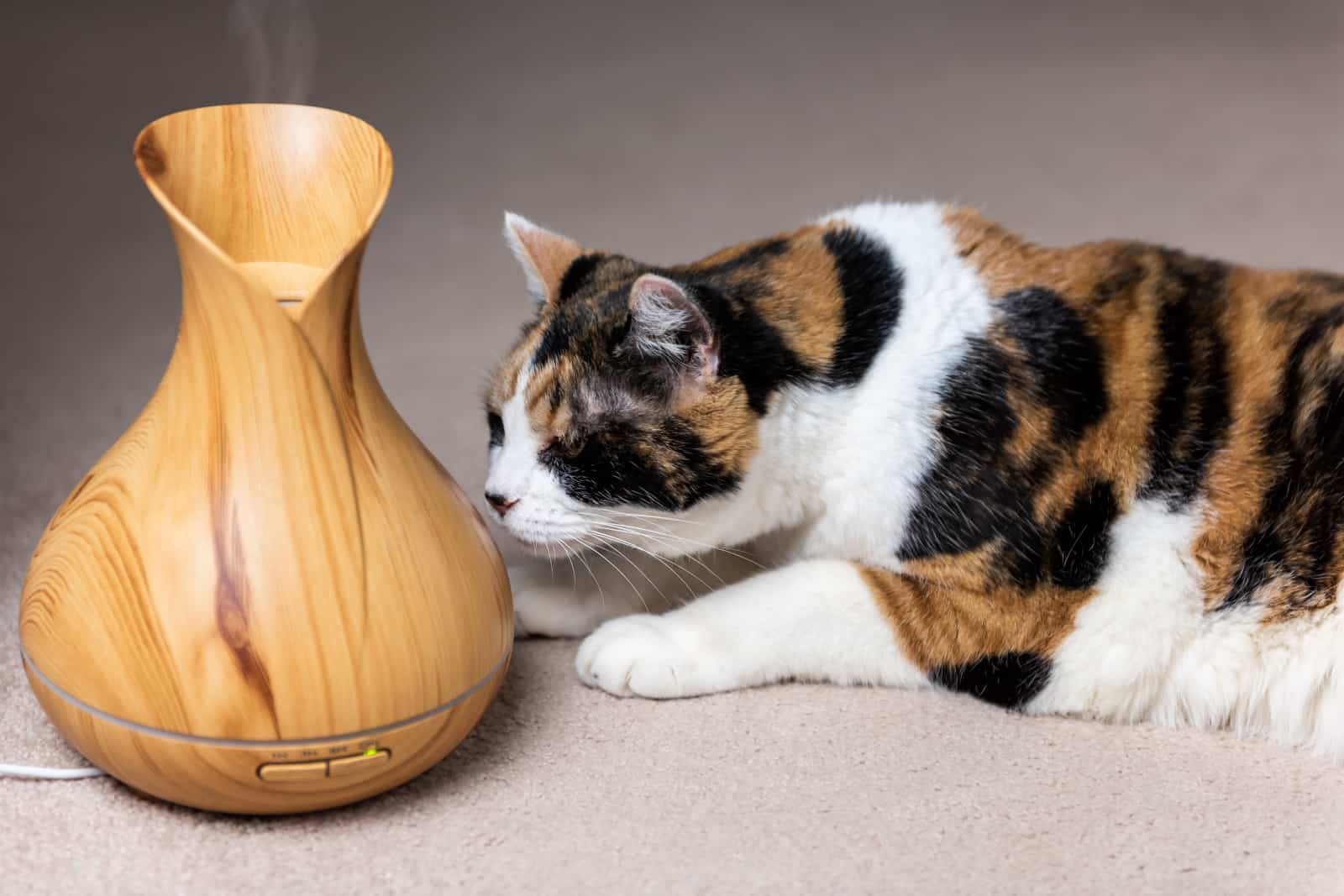 Calico kat snuift ruikende houten bamboe etherische olie diffuser