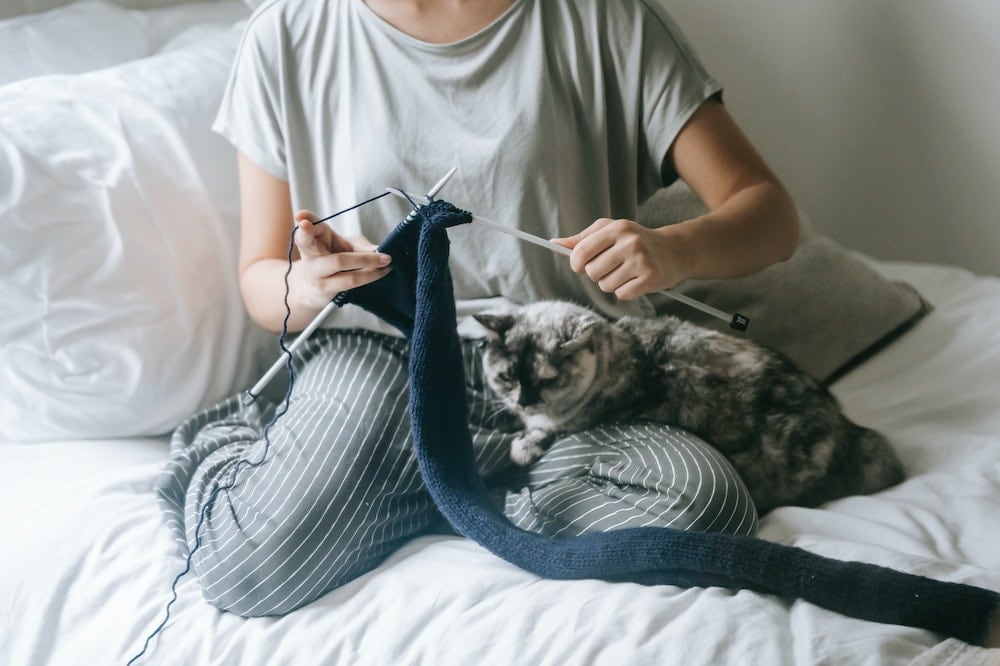 Vrouw breit met een grijze kat op haar schoot