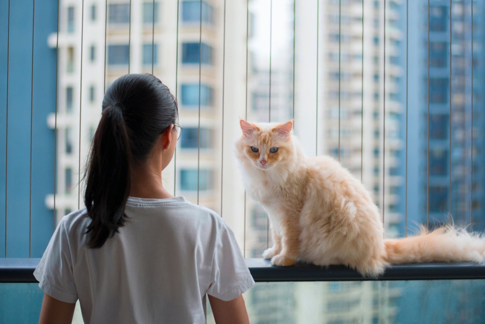 Ragdoll kattenverblijf met vrouw op balkon 