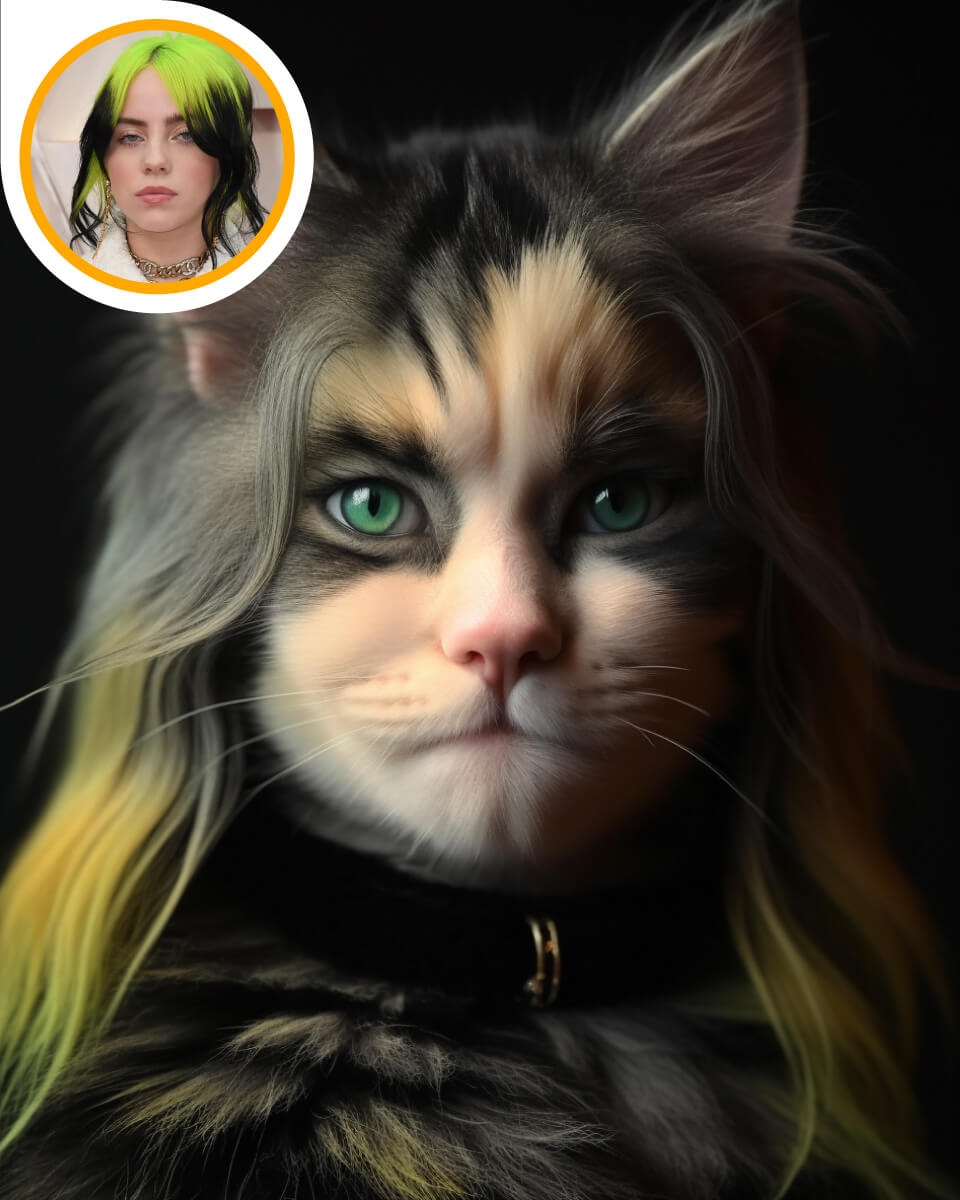 Celebrity Katten Belcat Celebrity Katten Belcat