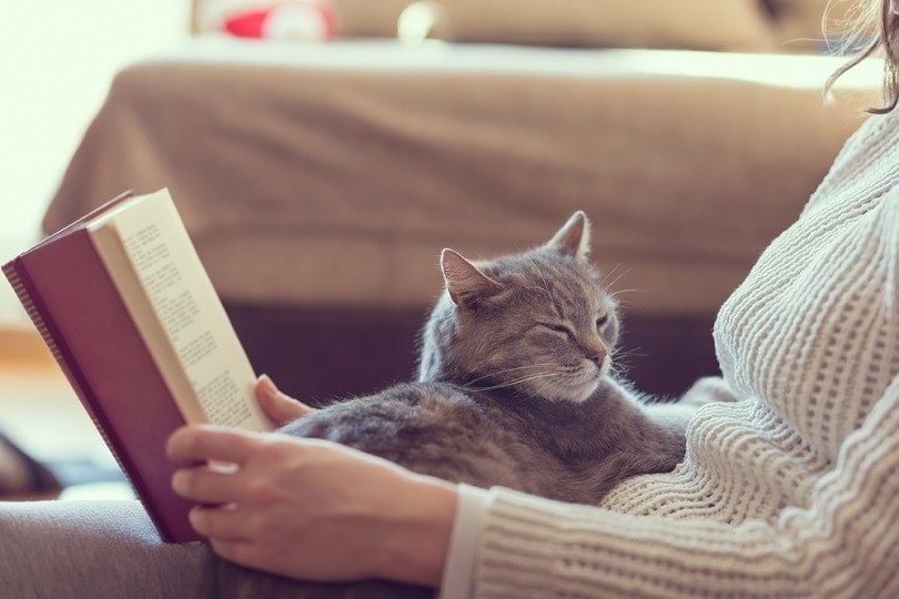 tabby kat liggend op de schoot van een vrouw die een boek leest
