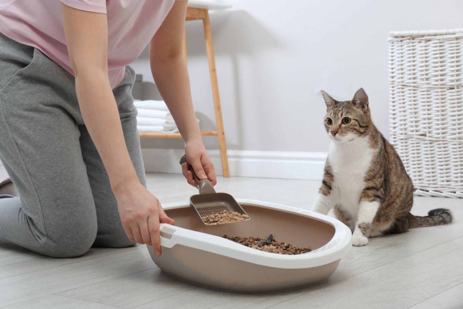 Een vrouw maakt een kattenbak schoon