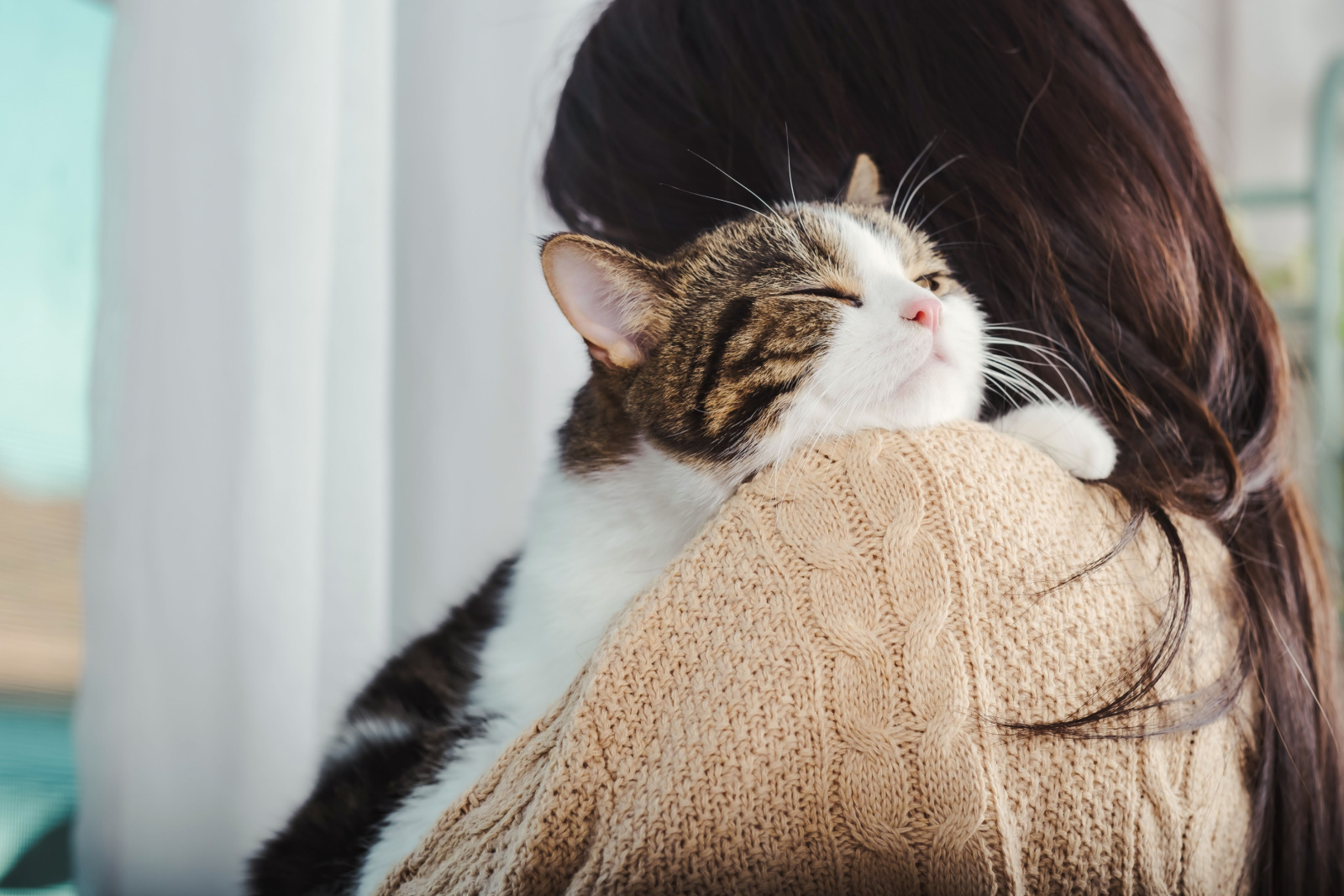 Leuke kat zette zijn kin op de schouder van de vrouw in de bruine trui