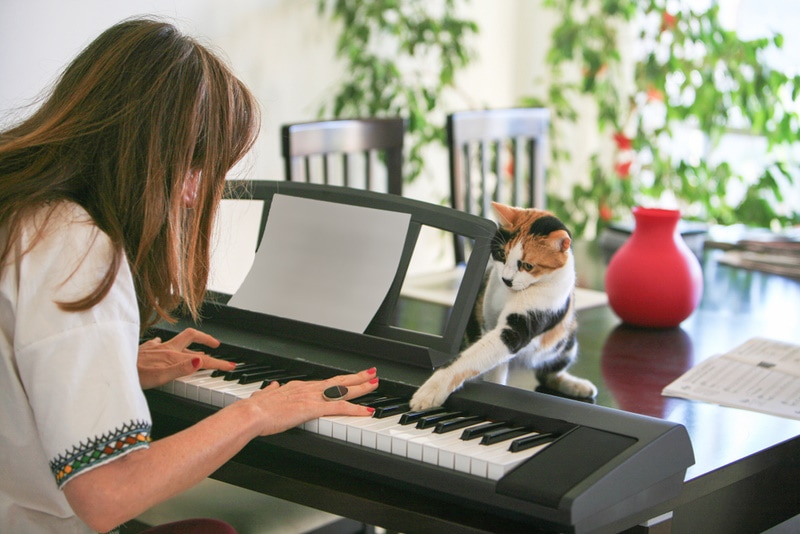 Vrouw en kat spelen piano