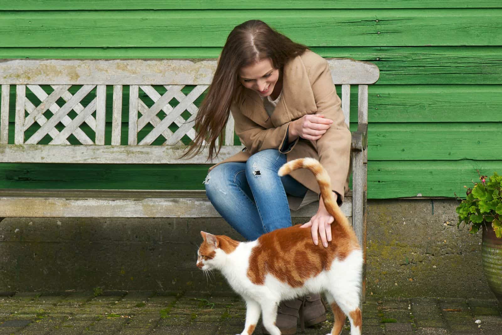Een kat loopt voor een vrouw die op een bankje zit