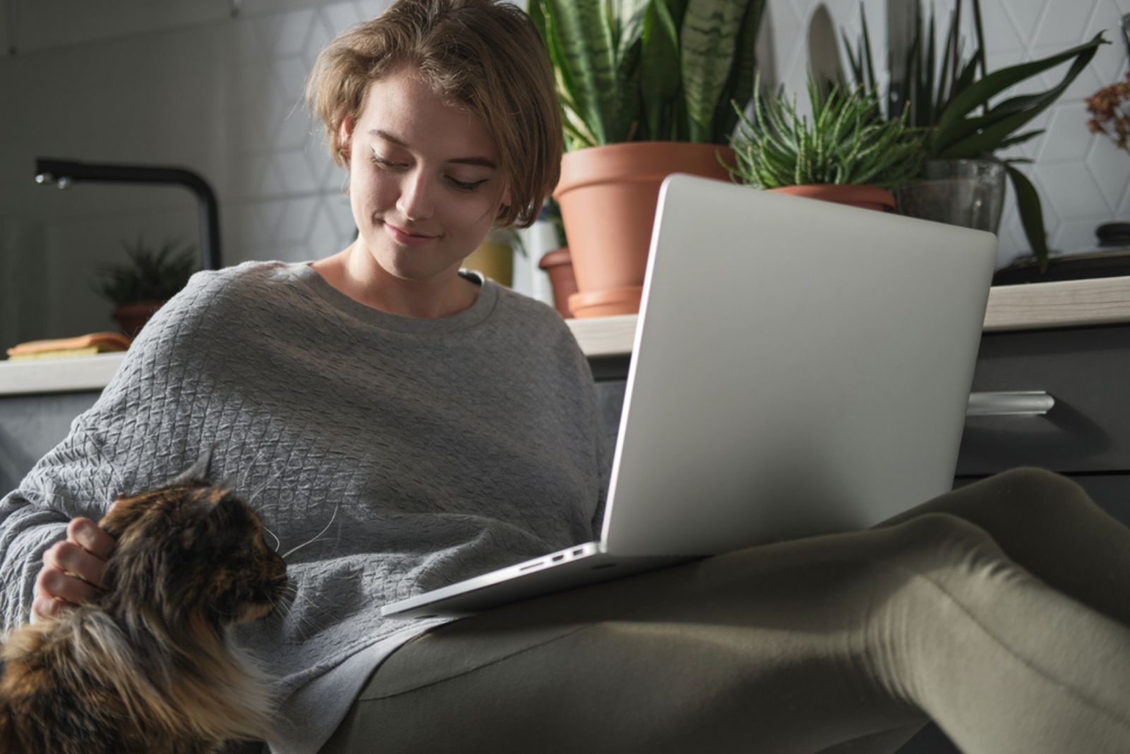 een vrouw aait een Maine Coon-kat terwijl ze op een laptop werkt