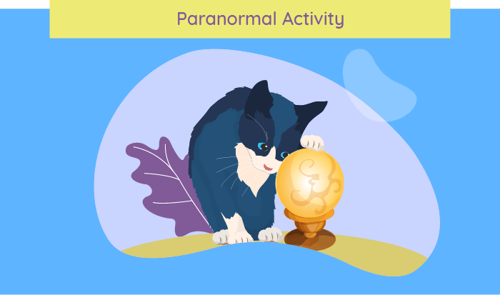 kat Paranormale Activiteit