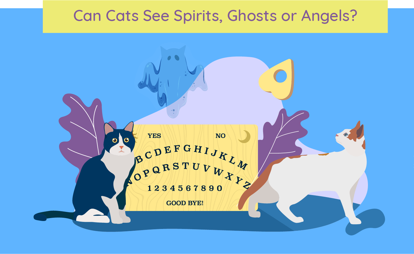 Afbeelding met de titel 'Can Cats See Spirits, Ghosts, and Angels?' die het geloof onderzoekt dat katten bovennatuurlijke entiteiten kunnen waarnemen.