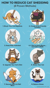 hoe het verharen van katten te verminderen infographic